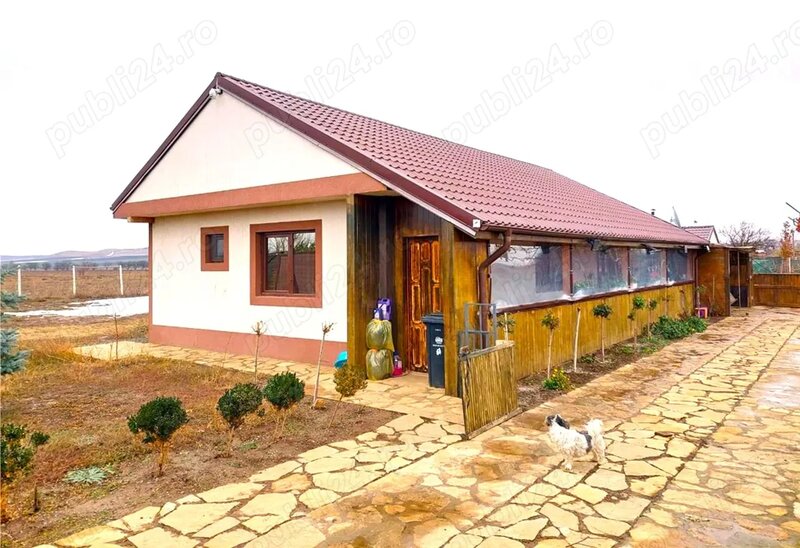 Mihai Kogalniceanu, Tulcea